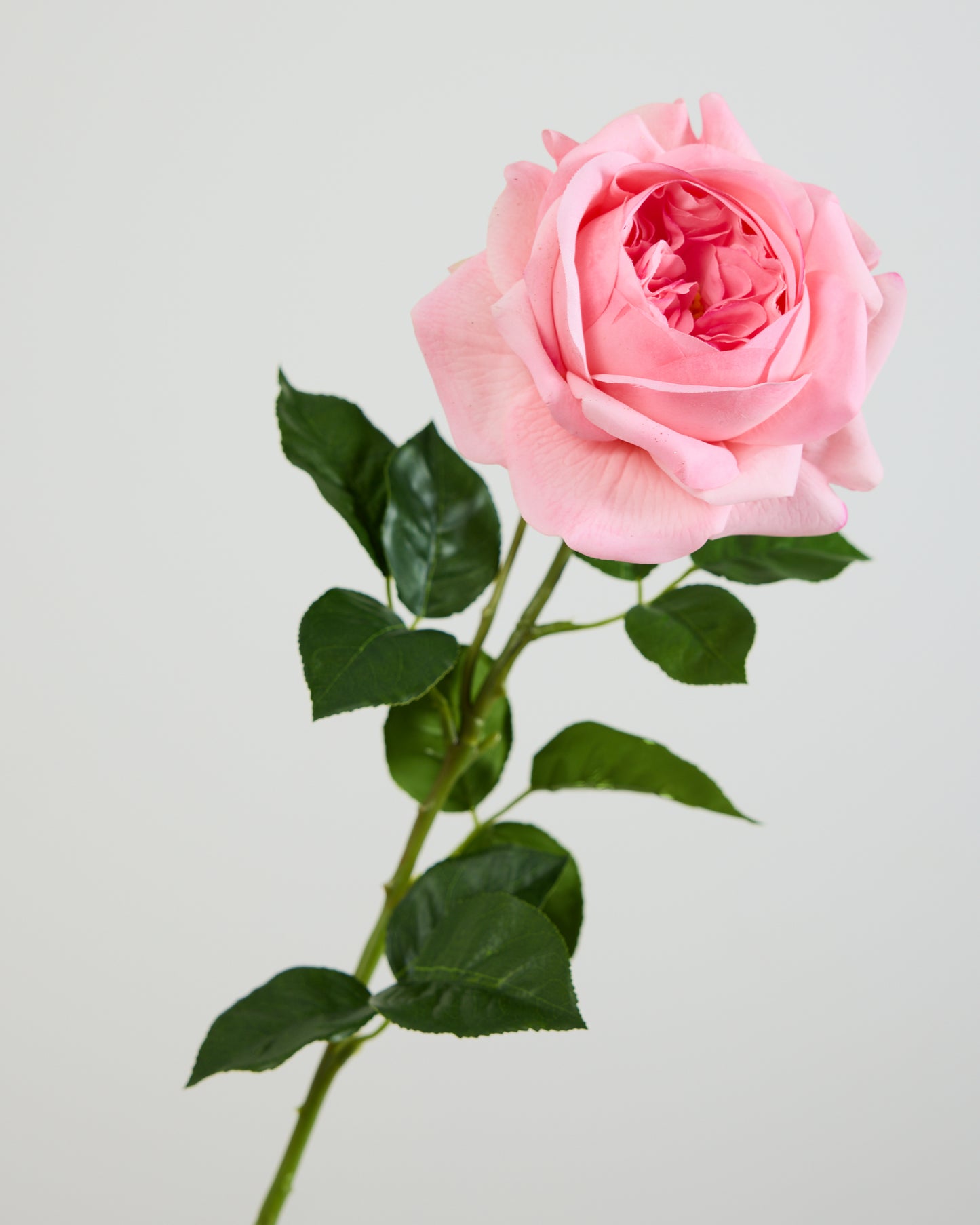 REAL TOUCH PEONY PINK