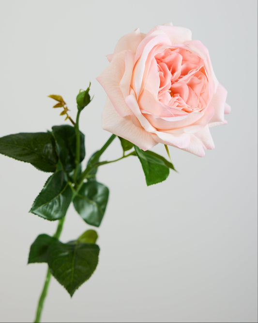 REAL TOUCH PEONY LIGHT PINK