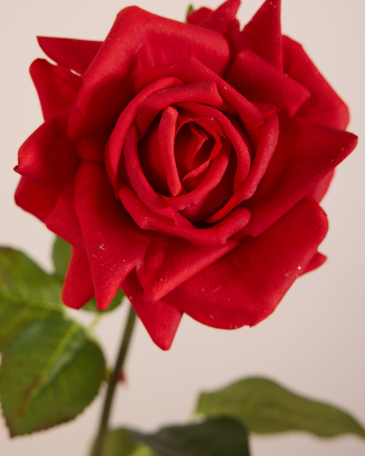 REAL TOUCH ROSE IN RED