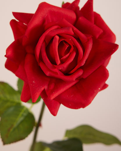 REAL TOUCH ROSE IN RED