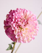 DAHLIA IN PURPLE (XL HEAD)