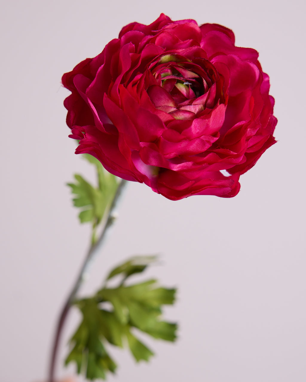 Deep Indigo Ranunculus DEEP PINK RANUNCULUS – Faux King Florals