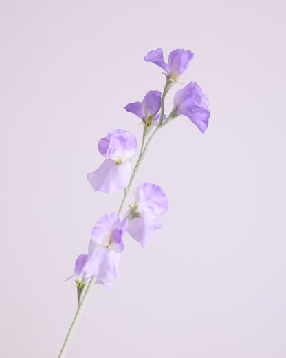 DELICATE SWEETPEA SPRAY IN PURPLE