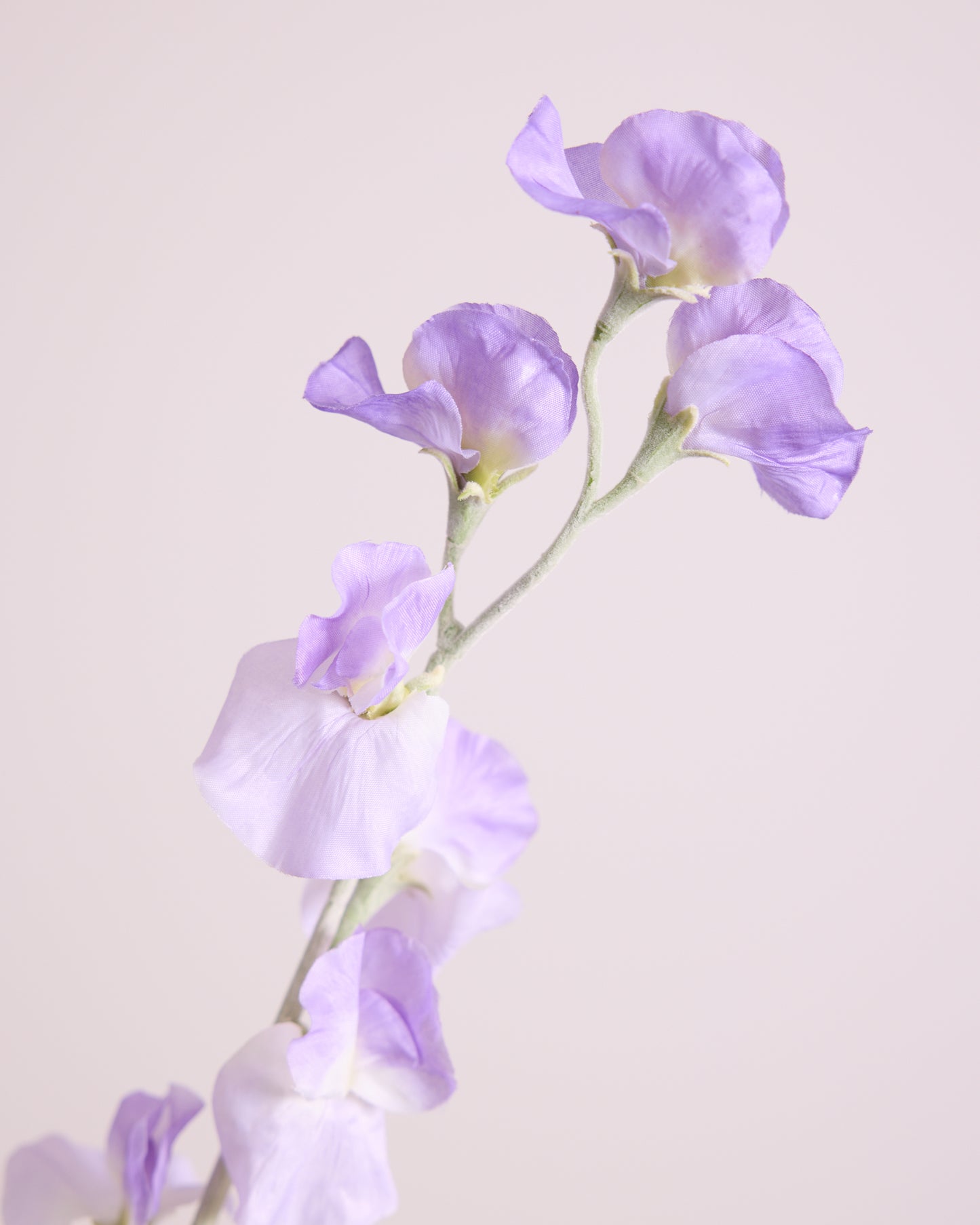 DELICATE SWEETPEA SPRAY IN PURPLE