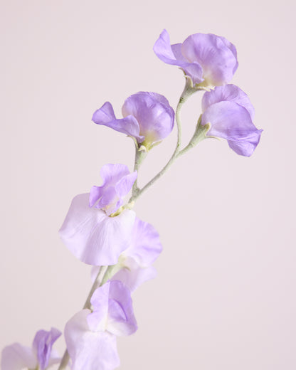 DELICATE SWEETPEA SPRAY IN PURPLE