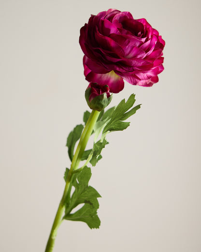 REAL TOUCH RANUNCULUS IN PURPLE