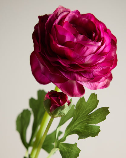 REAL TOUCH RANUNCULUS IN PURPLE
