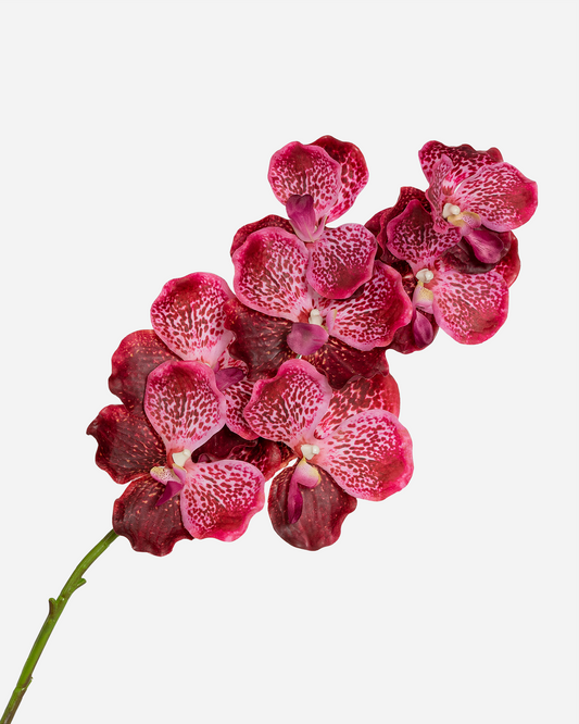 LUXURY REAL TOUCH ORCHIDS HOT PINK