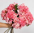 ABSOLUTE LUXURY REAL TOUCH HYDRANGEA IN SOFT PINK
