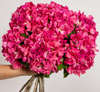 LUXURY REAL TOUCH HYDRANGEA HOT PINK