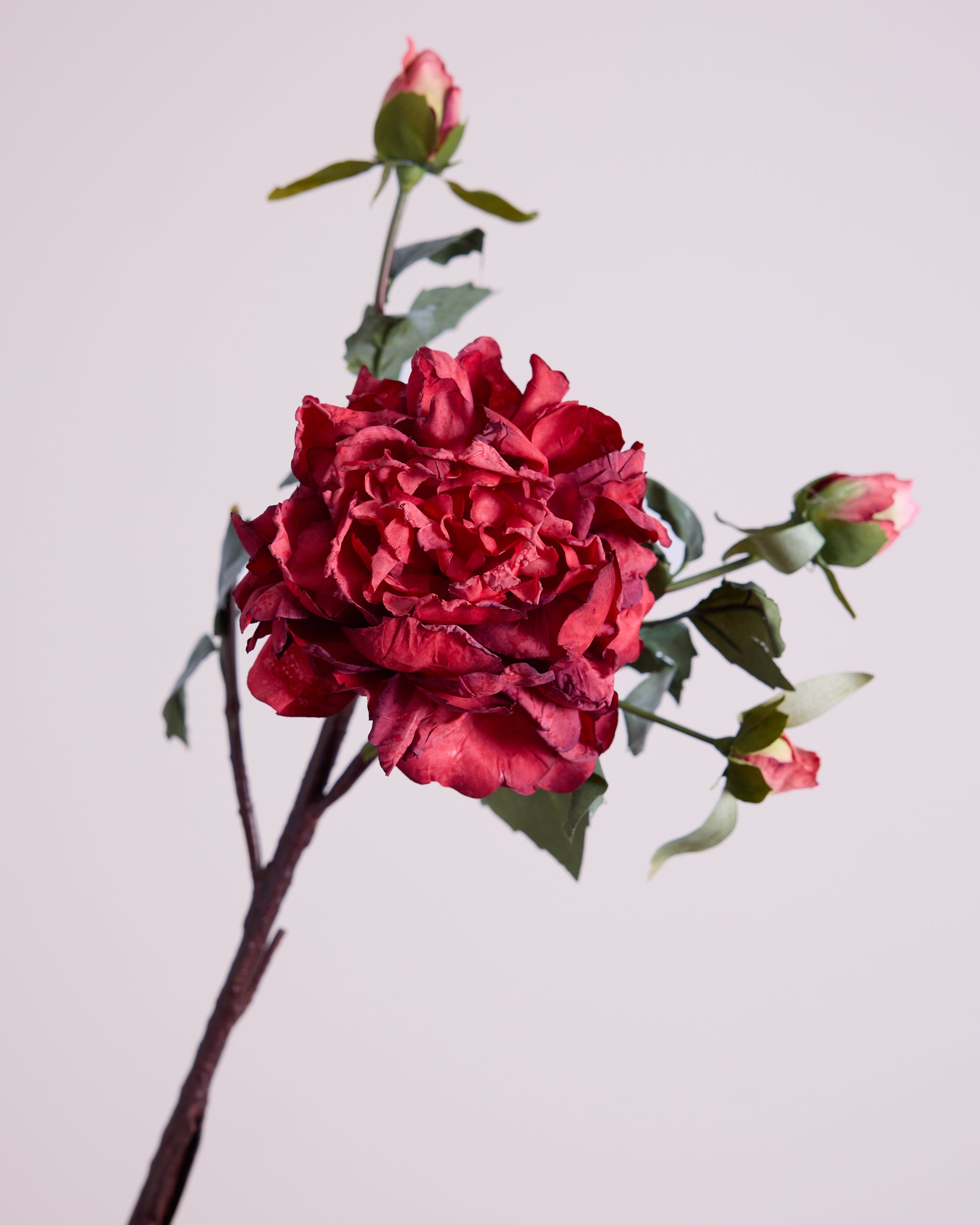 VINTAGE ROSE IN RED