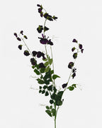 XL SWEET PEA SPRAY DEEP VIOLET
