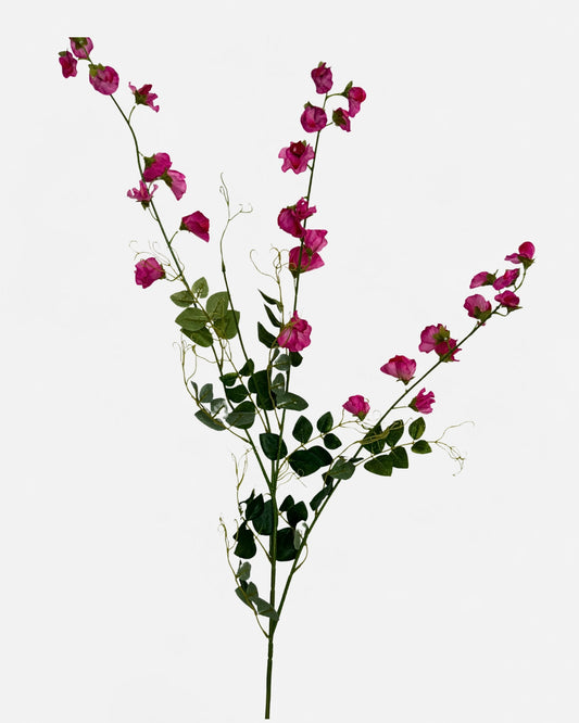 XL SWEET PEA SPRAY HOT PINK