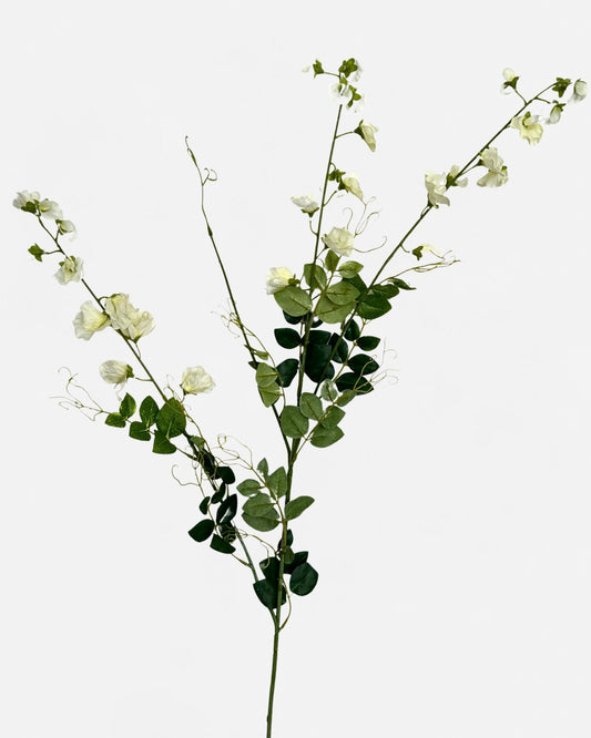 XL SWEET PEA SPRAY WHITE