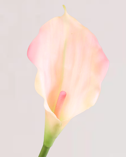 SMALL REAL TOUCH CALLA LILY IN DUSTY PINK