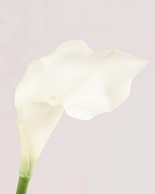 SMALL REAL TOUCH CALLA LILY IN WHITE