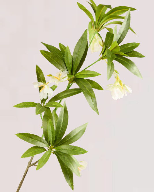 EXOTIC LEAF BRANCH WITH WHITE BLOSSOM