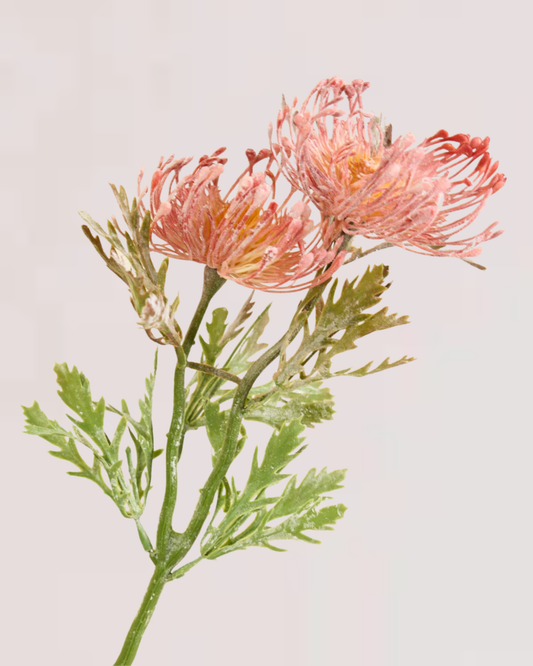 PROTEA SPRAY IN DUSTY PINK