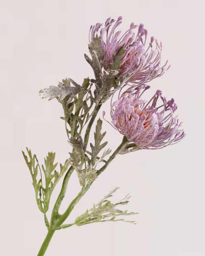 PROTEA SPRAY IN ULTRA VIOLET