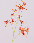 SILK-KA BURGUNDY ORCHID SPRAY 110CM