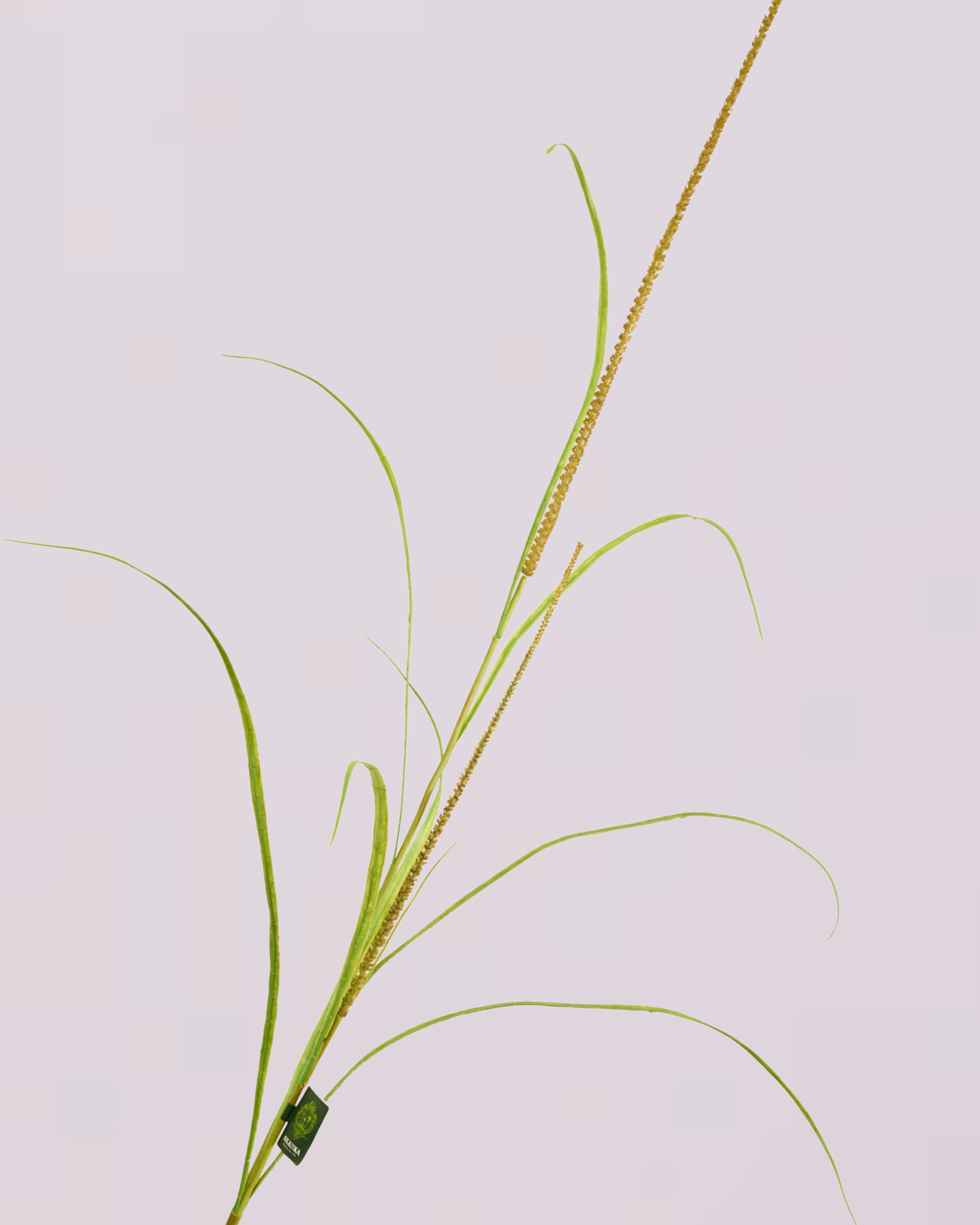 SILK-KA GRASS SPRAY 173CM