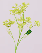 SILK-KA QUEEN ANNES LACE IN GREEN 78CM