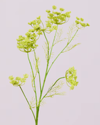 SILK-KA XL QUEEN ANNES LACE IN GREEN 107CM