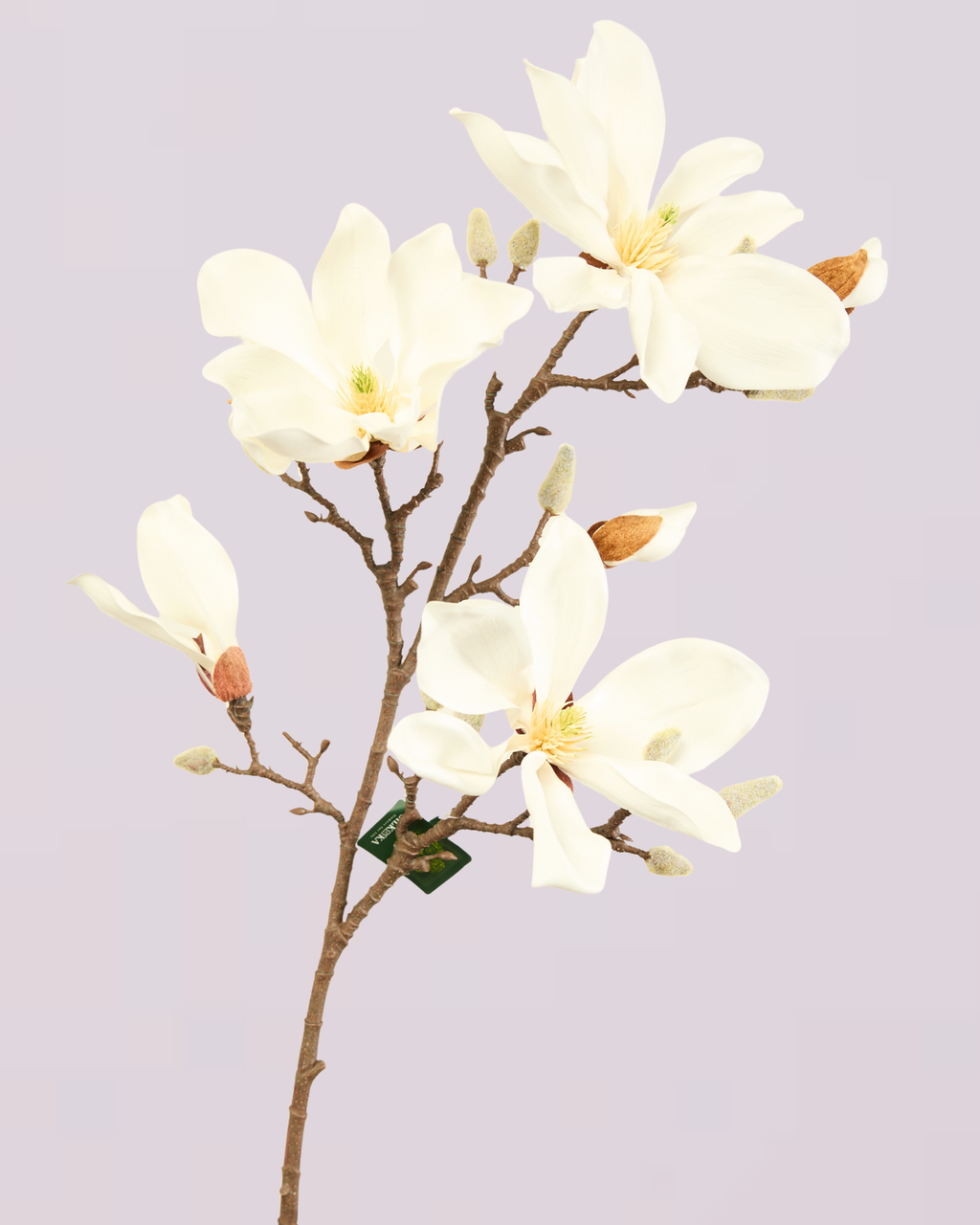 SILK-KA MAGNOLIA 101CM IN CREAM