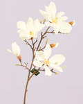 SILK-KA MAGNOLIA 101CM IN CREAM