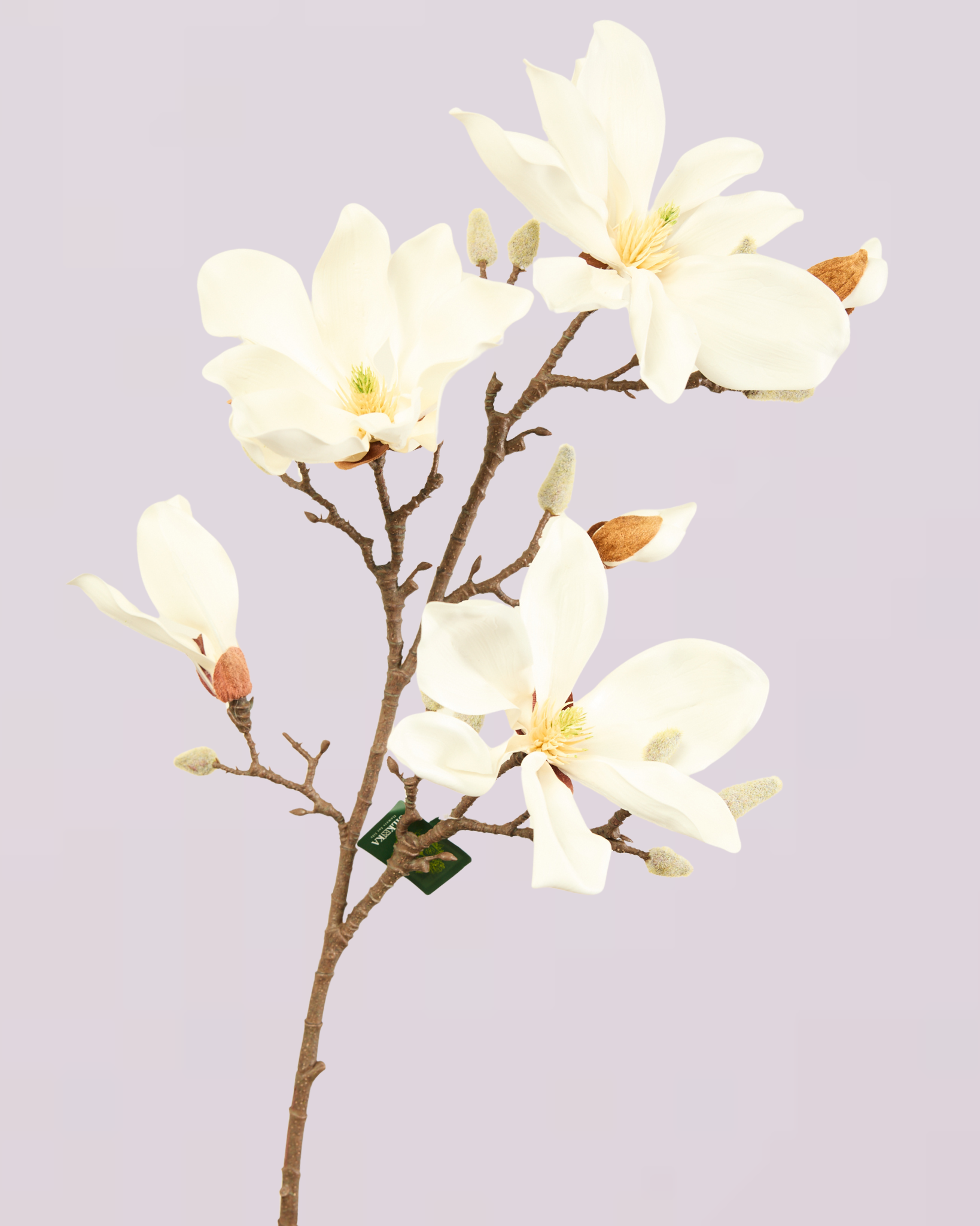 SILK-KA MAGNOLIA 101CM IN CREAM