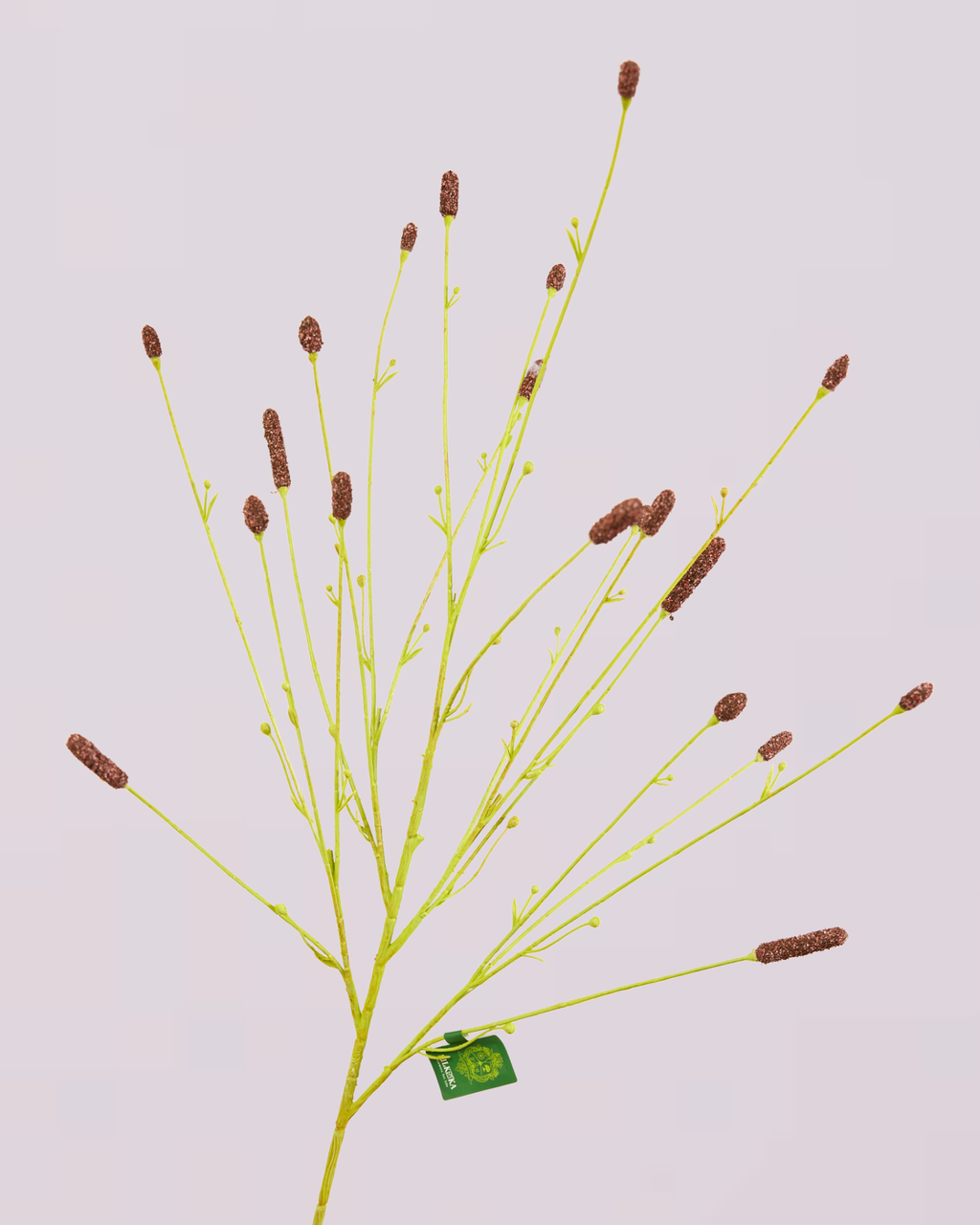 SILK-KA PIMPERNEL IN BROWN 116CM