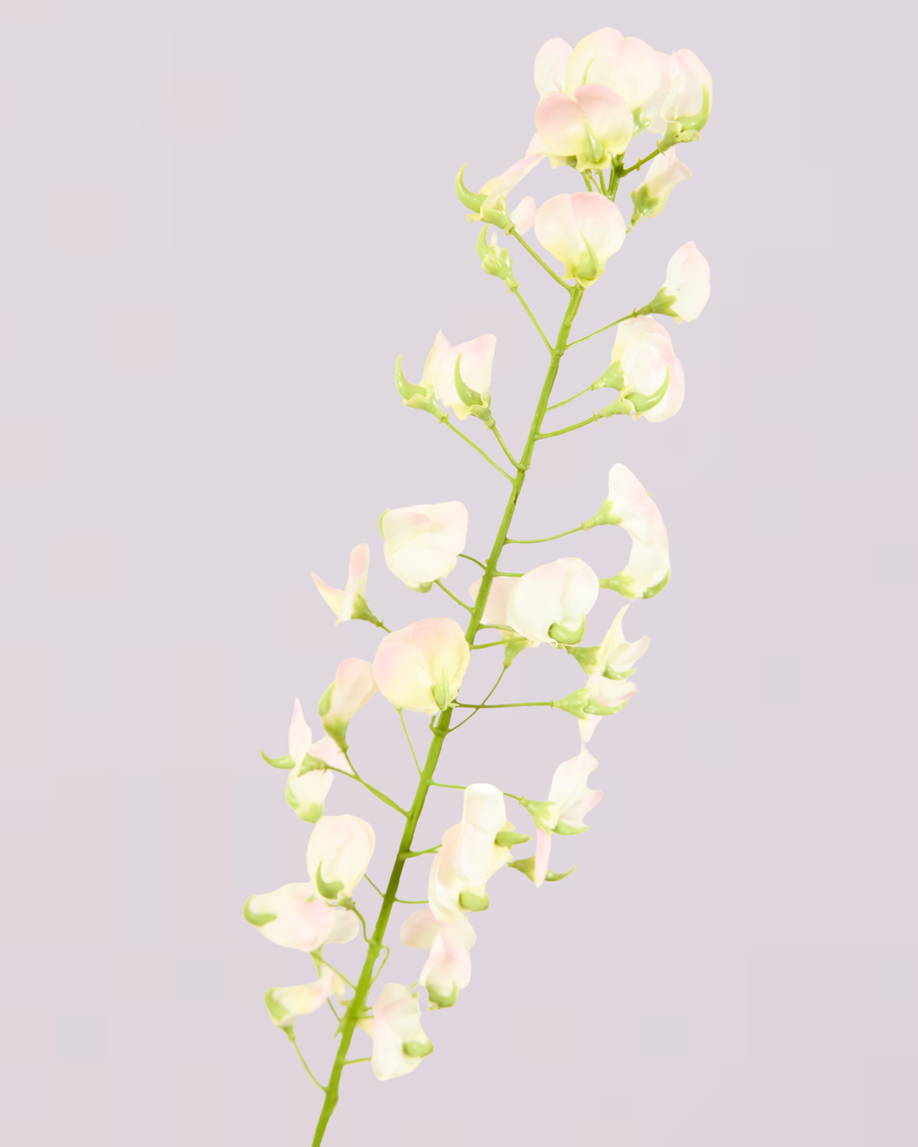 SILK-KA LATHYRUS IN SOFT PINK 86CM