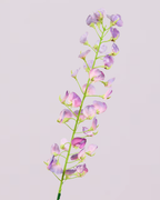 SILK-KA LATHYRUS IN PURPLE 86CM