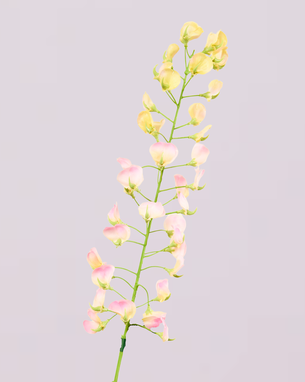 SILK-KA LATHYRUS IN PINK 86CM