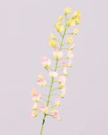 SILK-KA LATHYRUS IN PINK 86CM