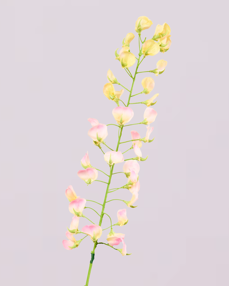 SILK-KA LATHYRUS IN PINK 86CM