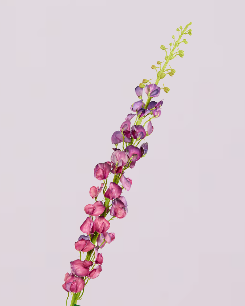 SILK-KA LATHYRUS IN PURPLE 135CM