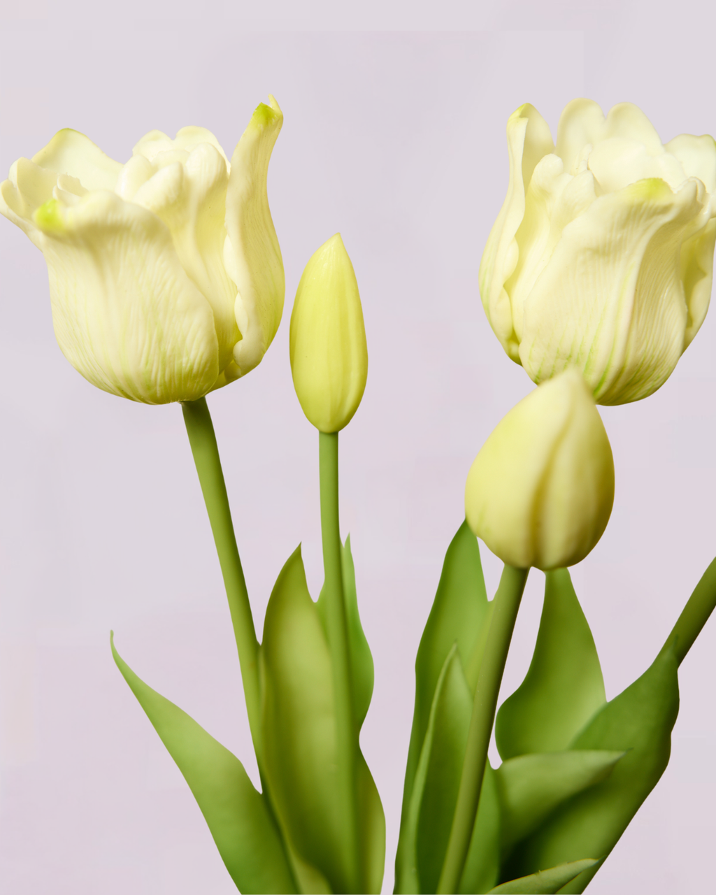 BUNCH OF 5 REAL TOUCH TULIPS CREAM