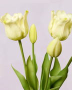 BUNCH OF 5 REAL TOUCH TULIPS CREAM