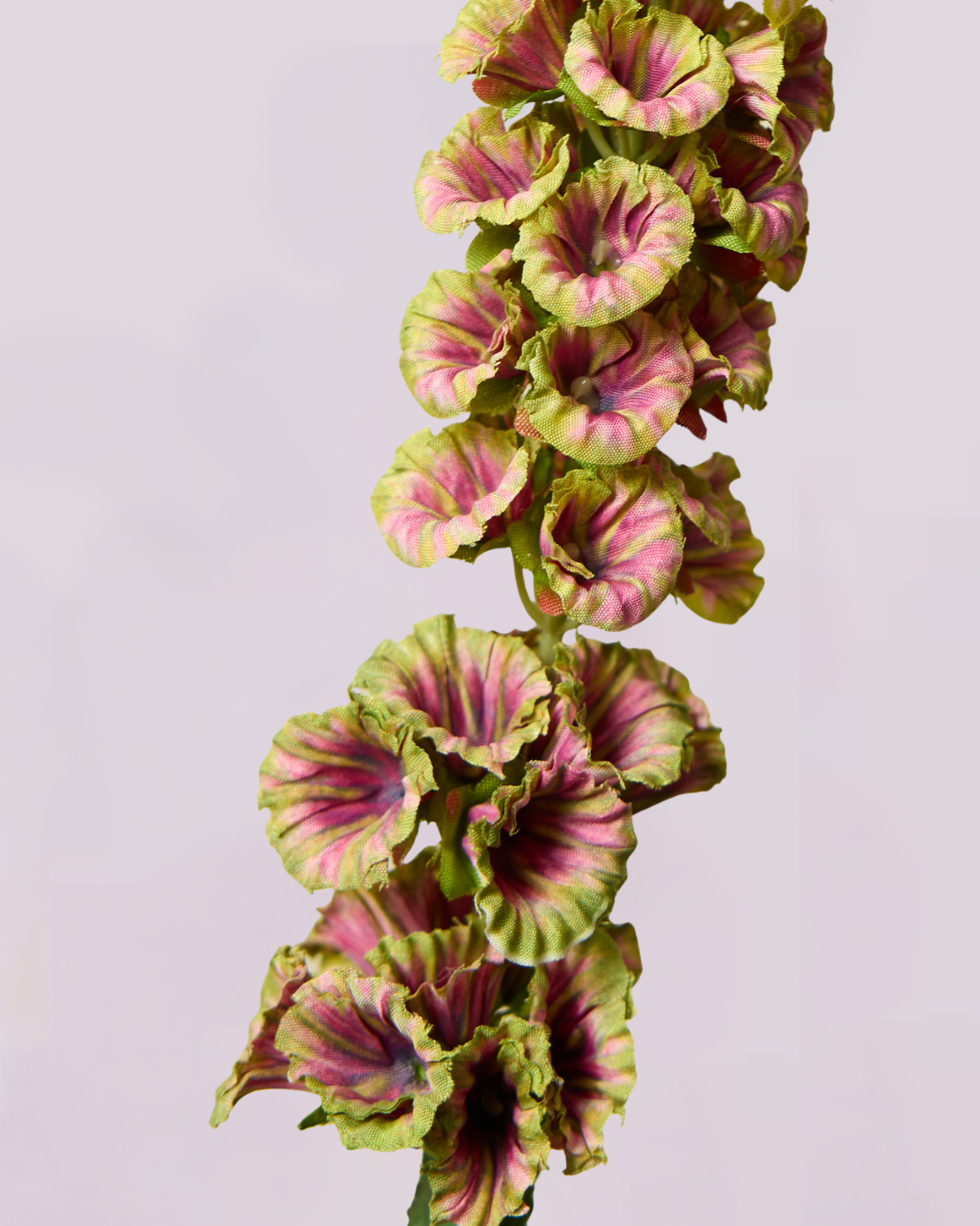 DELPHINIUM IN EARTHY GREEN