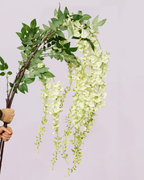 WHITE WISTERIA 125cm