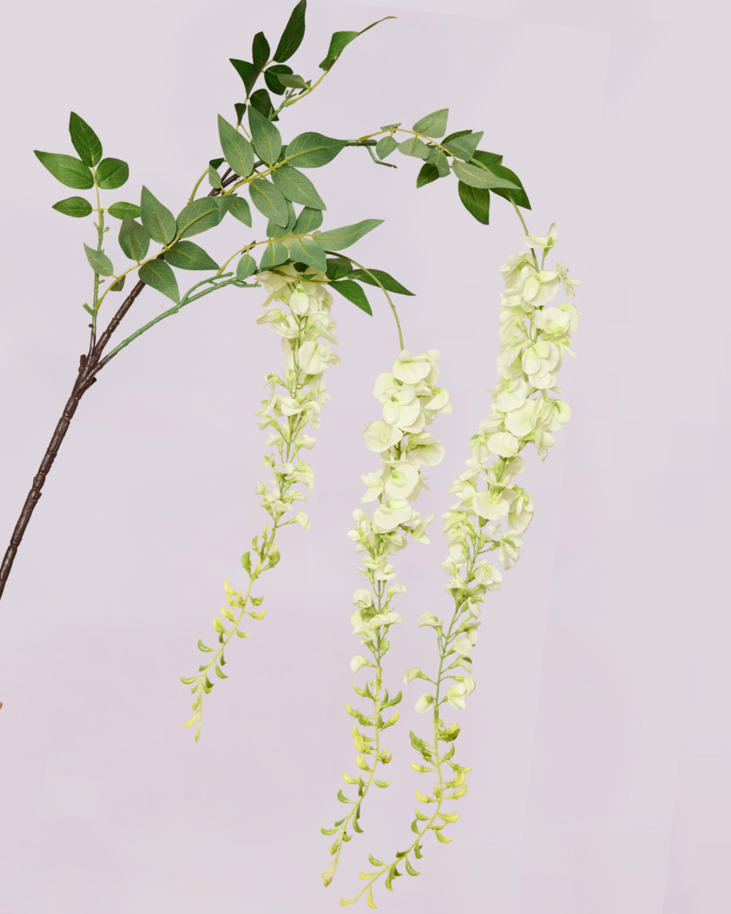 WHITE WISTERIA 125cm