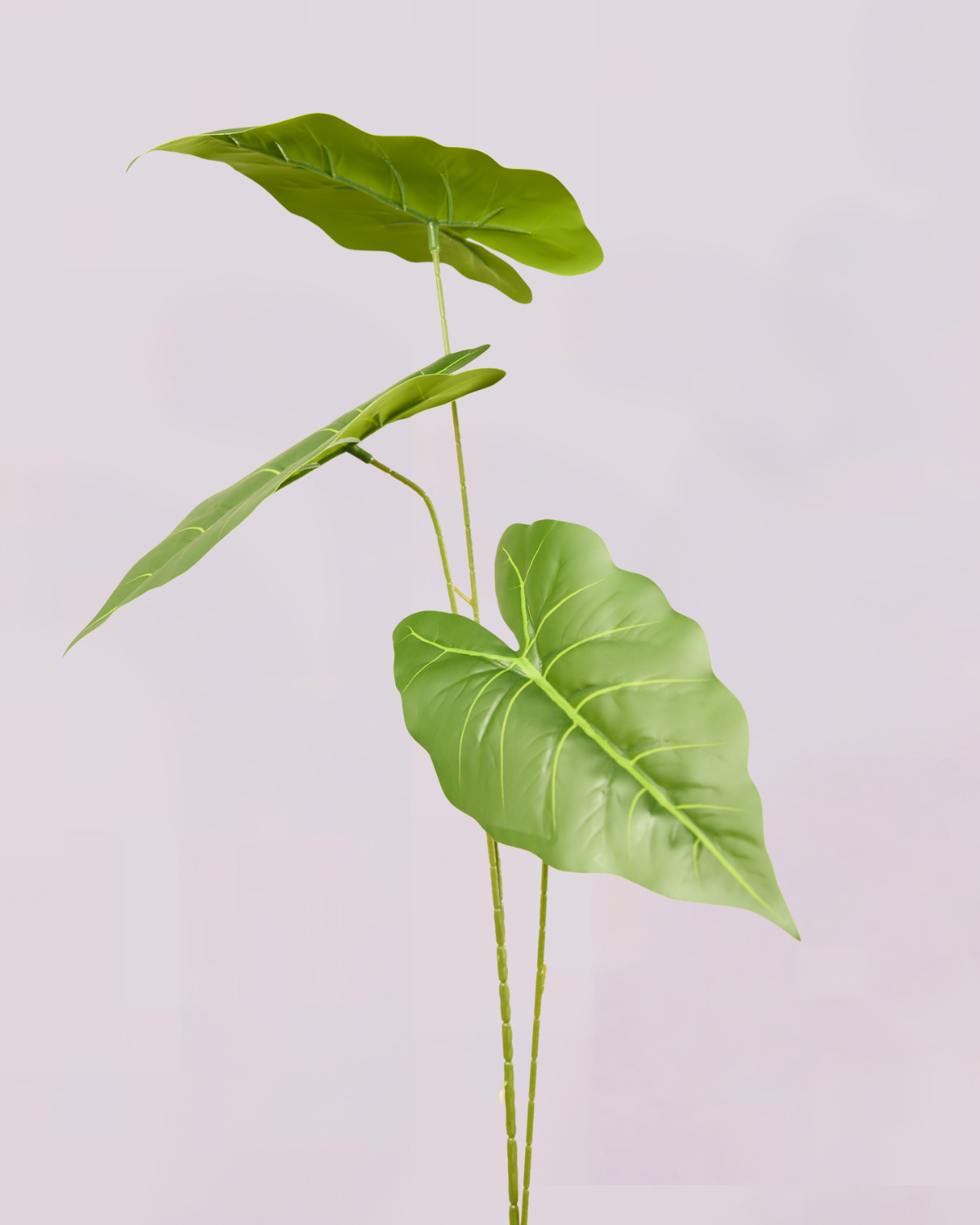 GREEN LEAF TRIO STEM