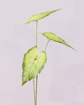 VAREGATED GREEN LEAF TRIO STEM