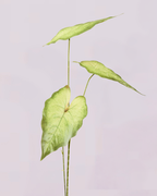 VAREGATED GREEN LEAF TRIO STEM