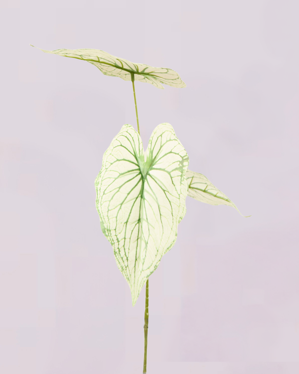 WHITE GREEN LEAF TRIO STEM