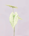 WHITE GREEN LEAF TRIO STEM
