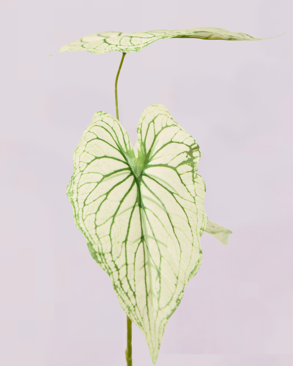 WHITE GREEN LEAF TRIO STEM