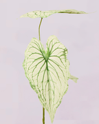 WHITE GREEN LEAF TRIO STEM
