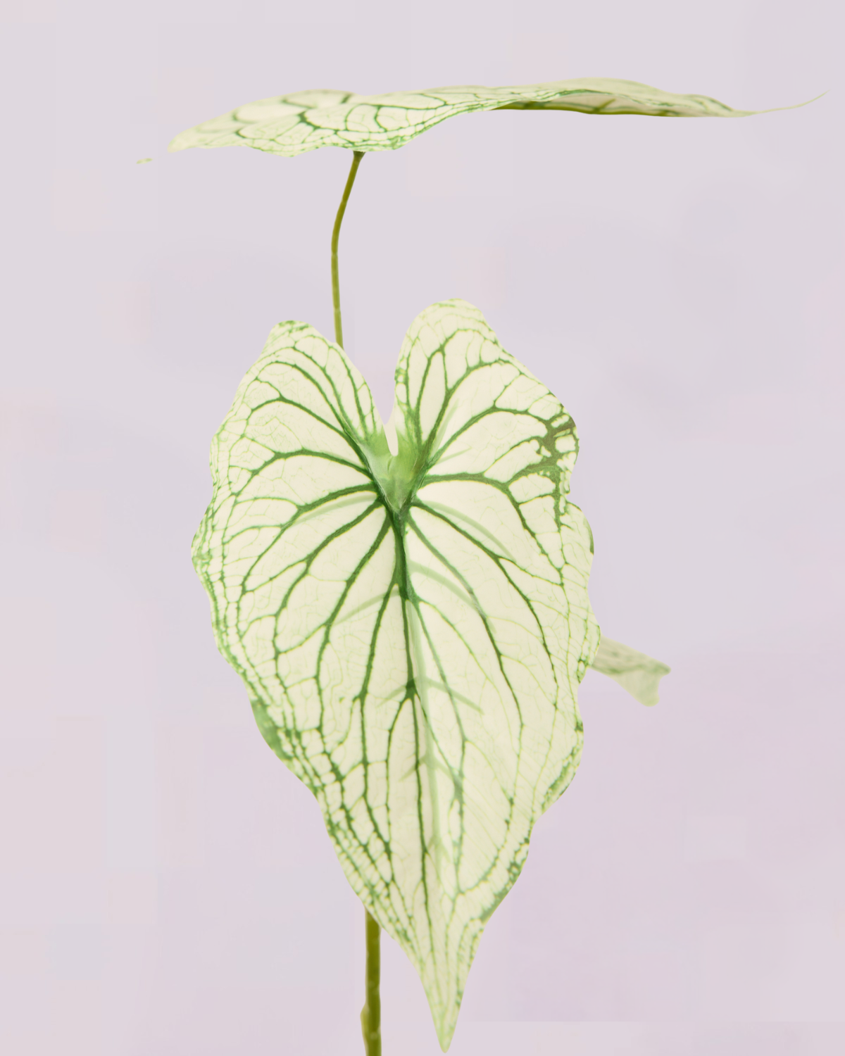 WHITE GREEN LEAF TRIO STEM